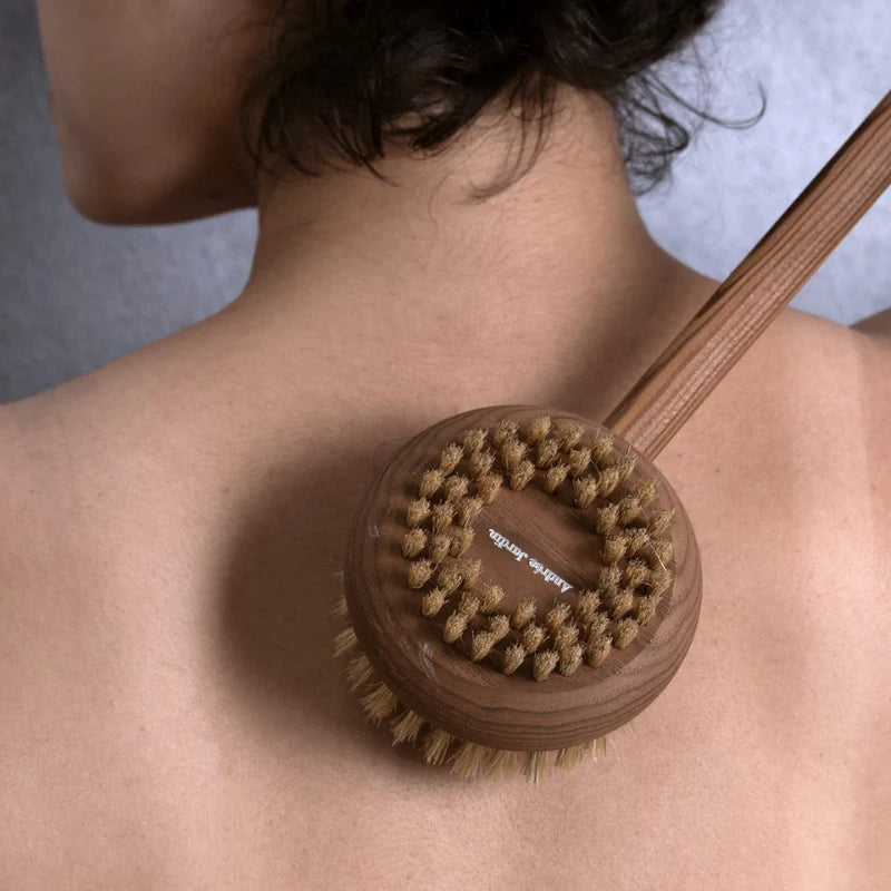 Lange Badborstel - Essenhout